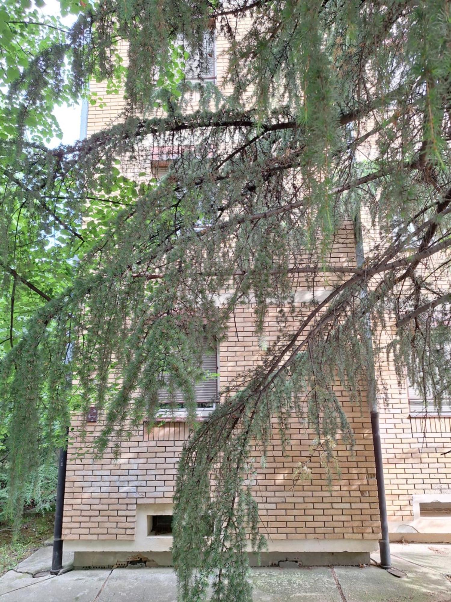 Rivijera Green Bělehrad Exteriér fotografie